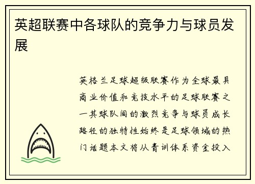 英超联赛中各球队的竞争力与球员发展