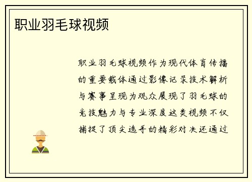 职业羽毛球视频